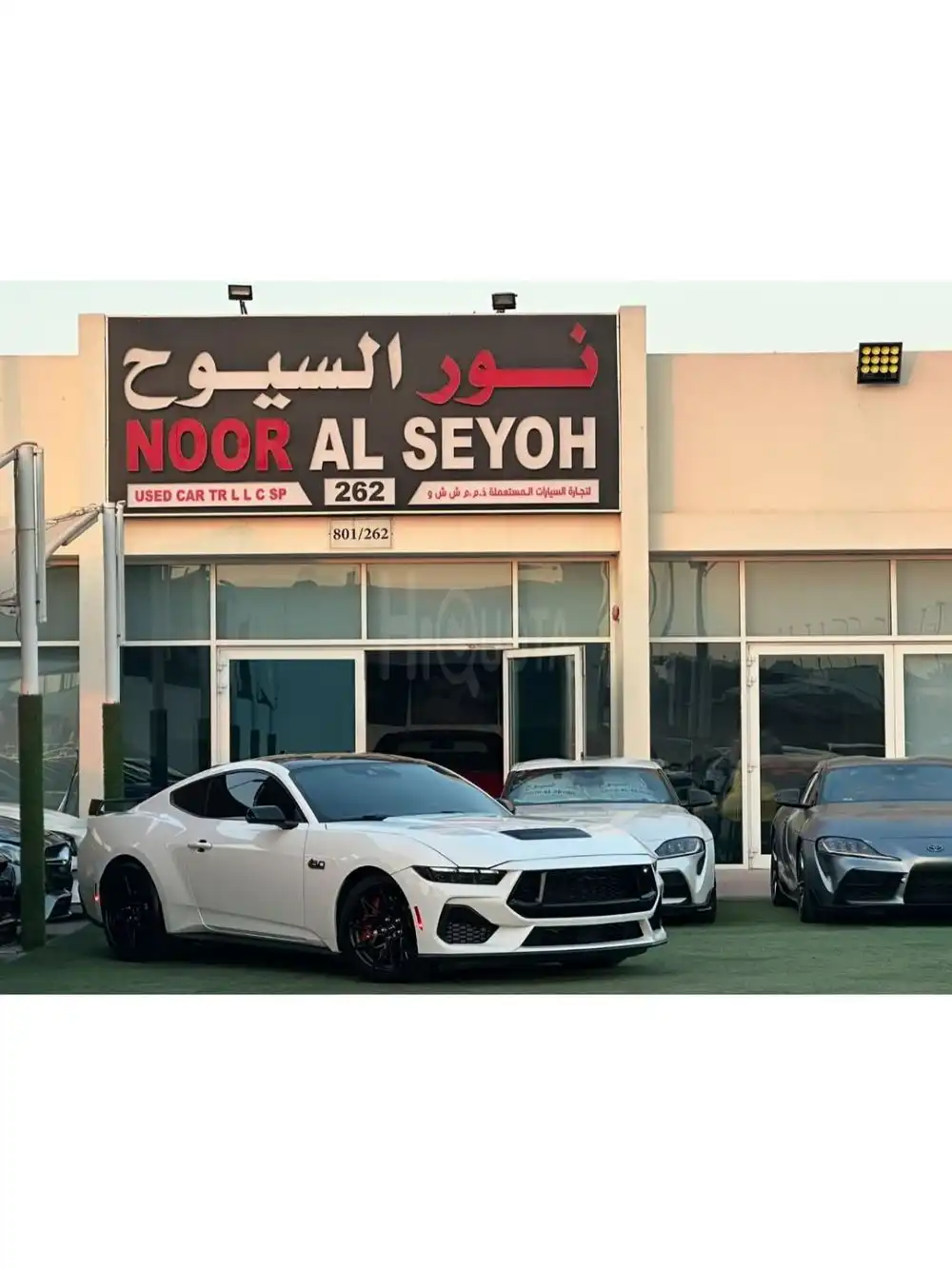 FORD MUSTANG GT 5.0 PREMIUM 2024 Perfect Condition Special Color Full option Full Carbon Fiber