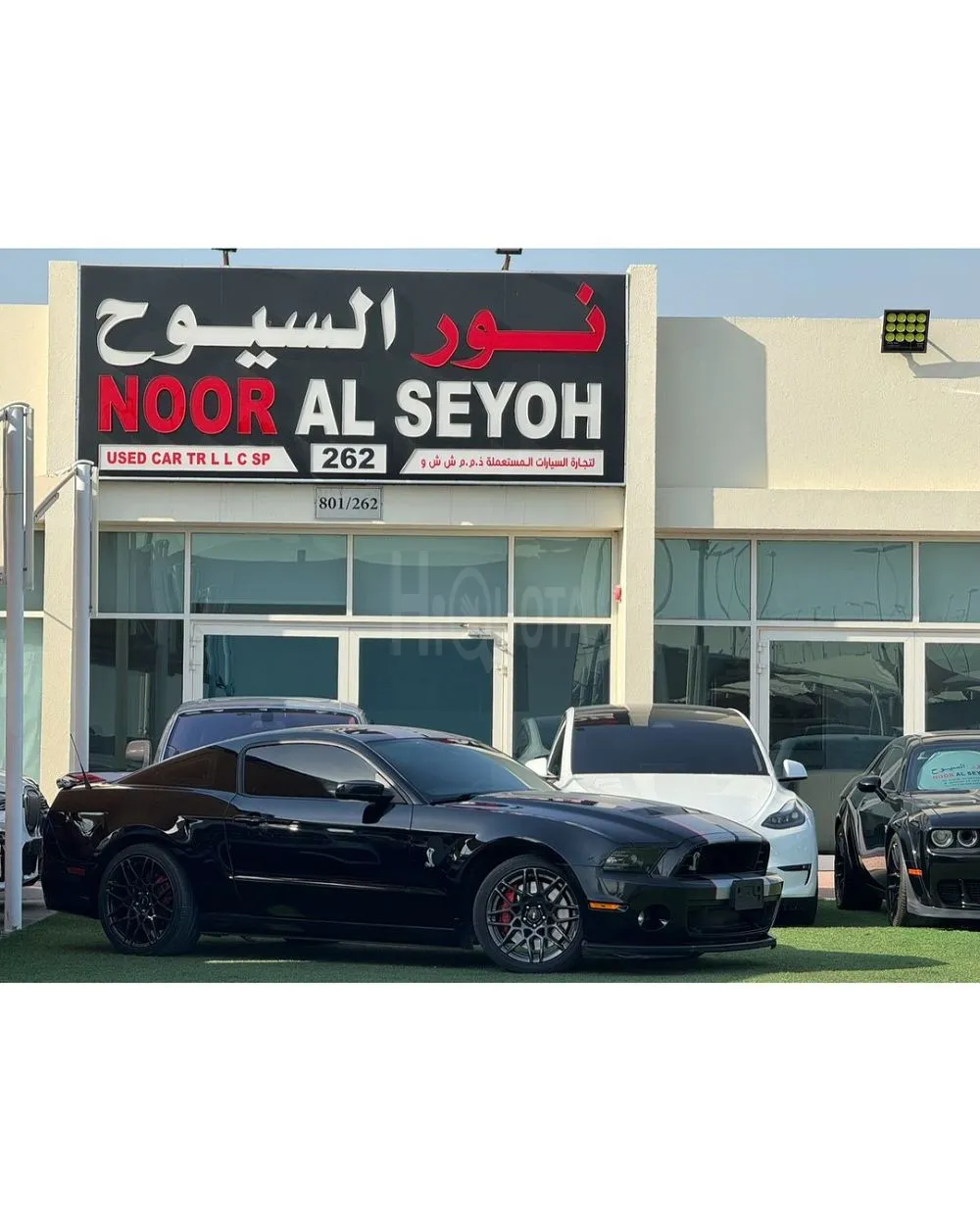 MUSTANG GT500 SHELBY GCC 2014 Zero accident