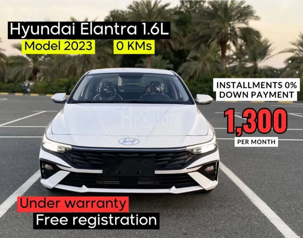 Brand new 2023 model / 1.6L V4 engine / Ref#Z559 for sale on HiQuota