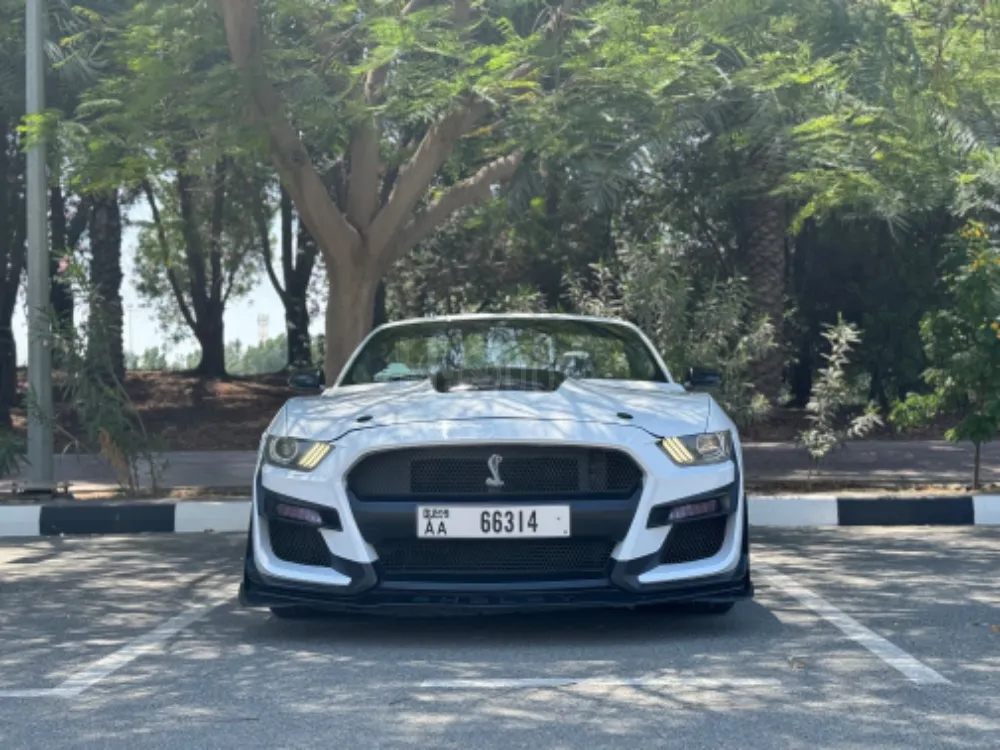 موستانج كوبيه for sale on HiQuota