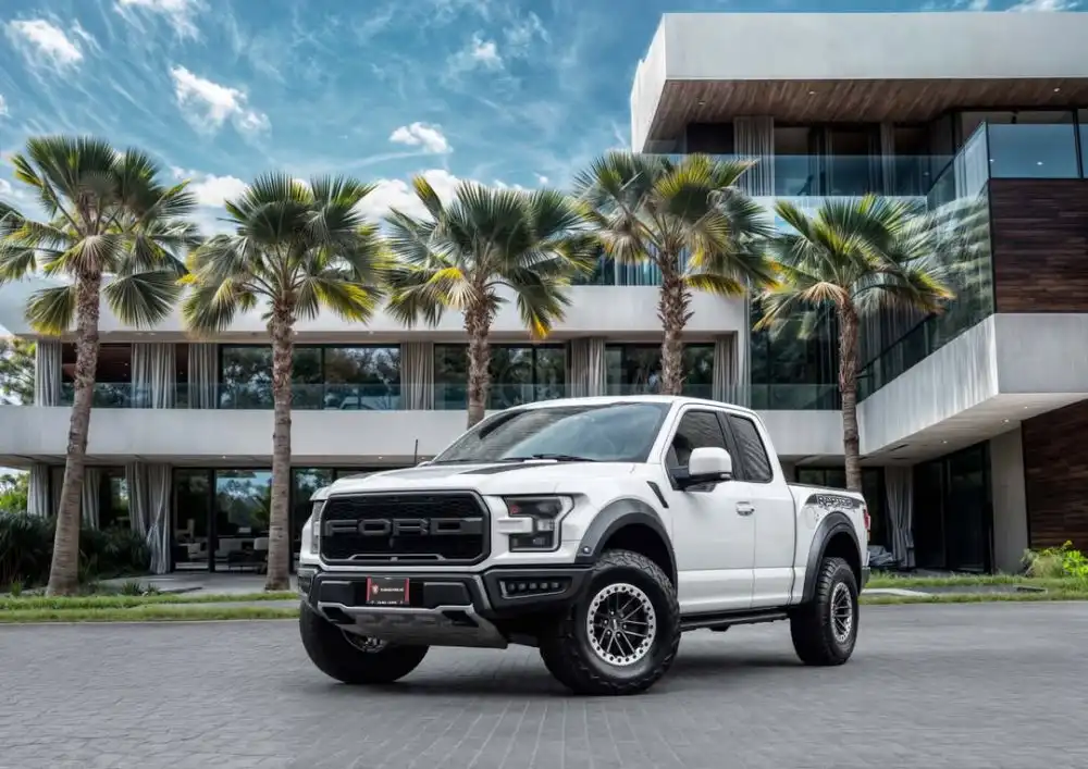 Ford F-150 Raptor | 2020 for sale on HiQuota