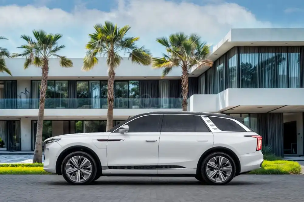 Hongqi E-HS9 | 2022 for sale on HiQuota