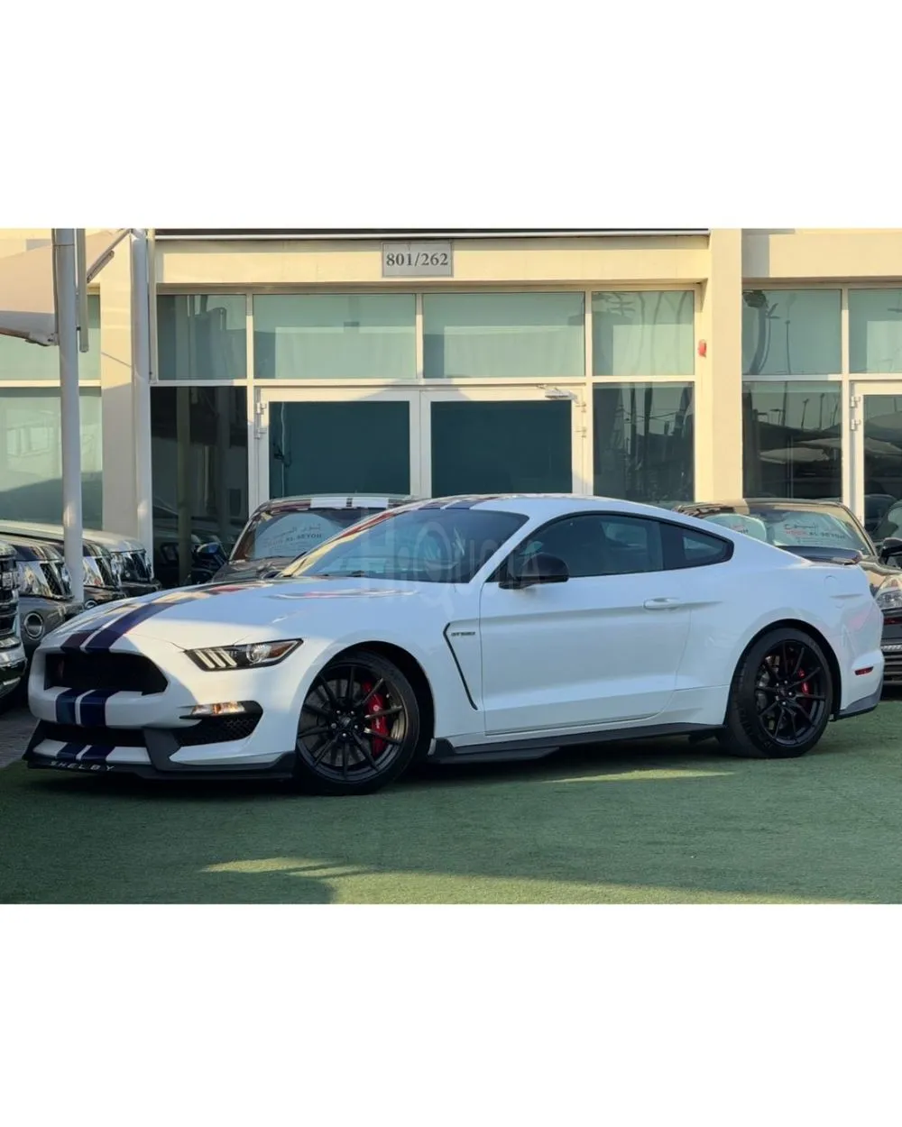 FORD MUSTANG GT350 SHELBY GCC 2018