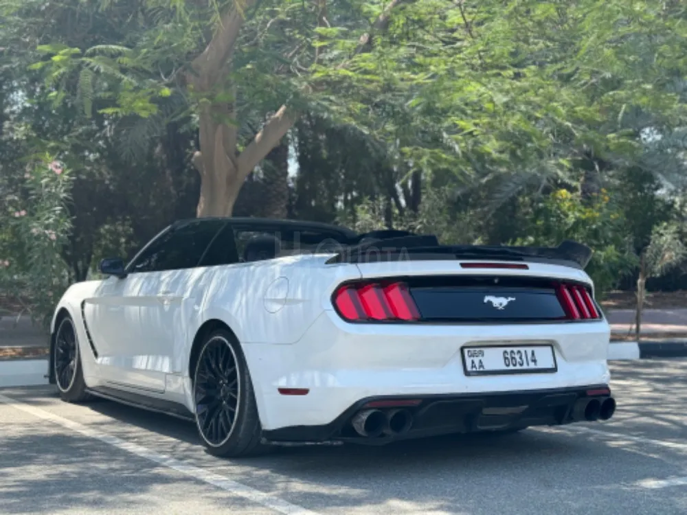 موستانج كوبيه for sale on HiQuota