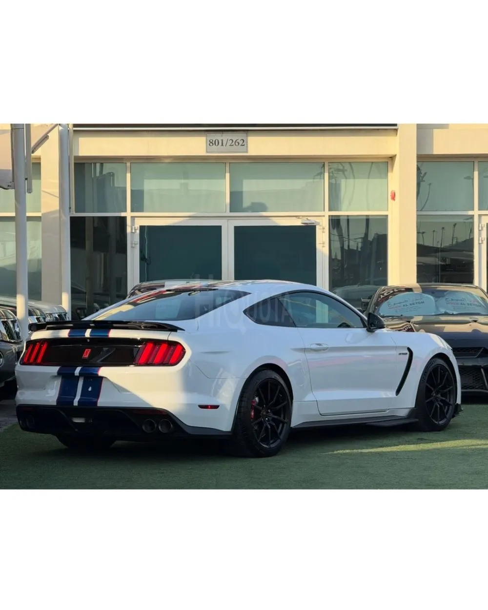FORD MUSTANG GT350 SHELBY GCC 2018