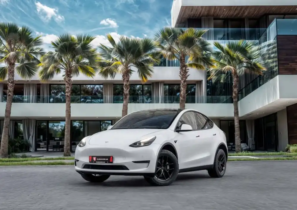 Tesla Model Y Long Range Autopilot | 2022 for sale on HiQuota