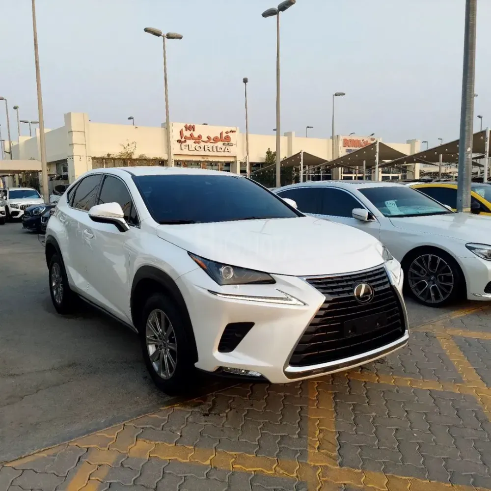 Lexus NX300 Japanese import  2021 model