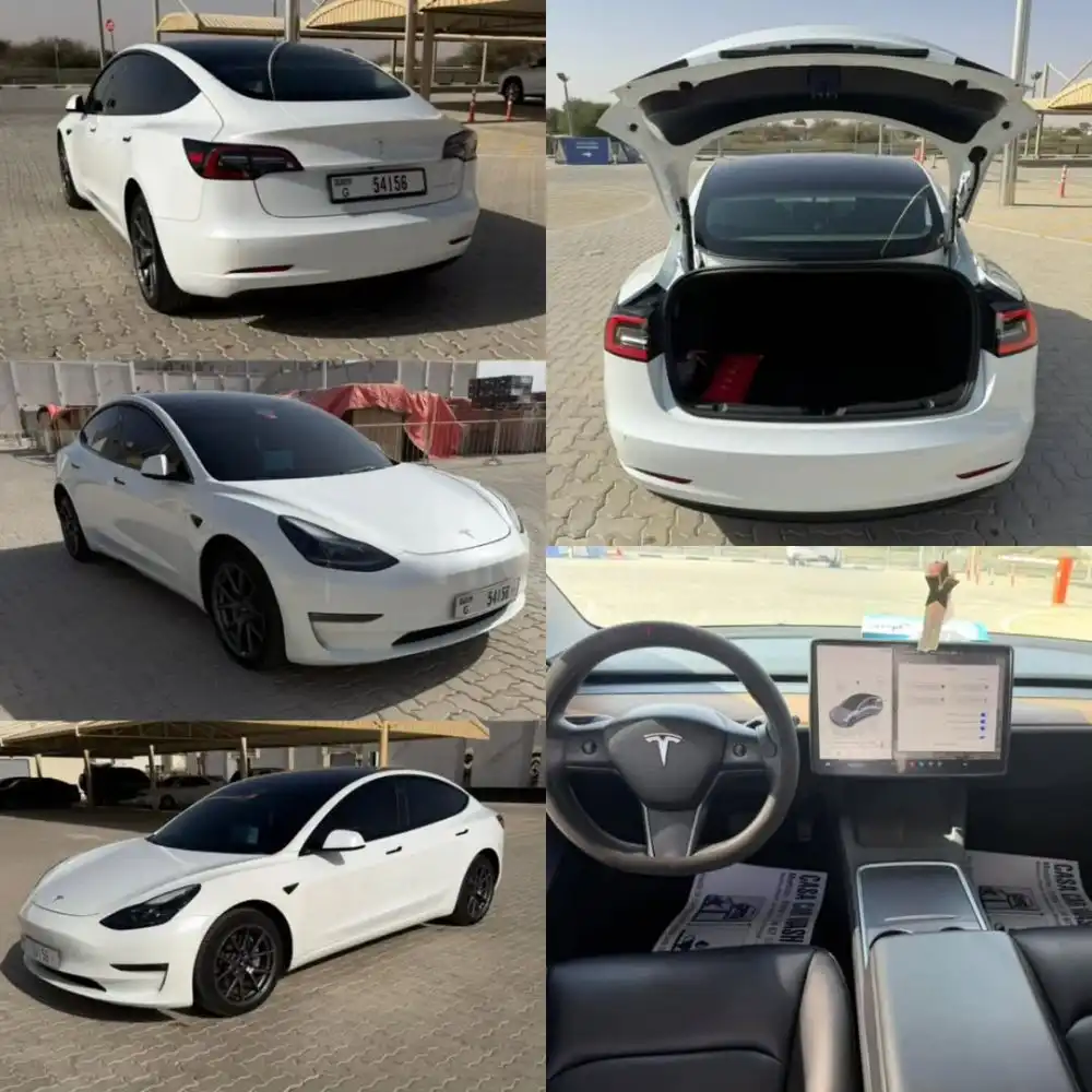 Tesla Model 3 2022