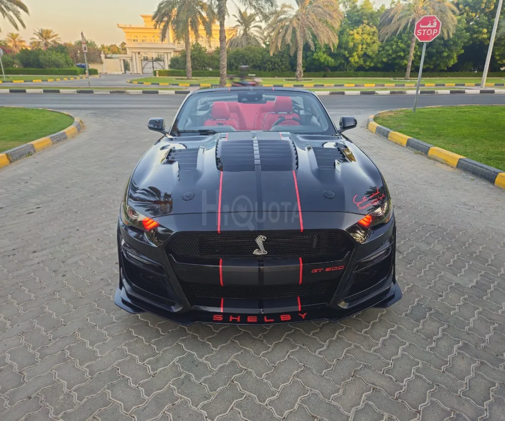 Mustang 2023 for sale on HiQuota