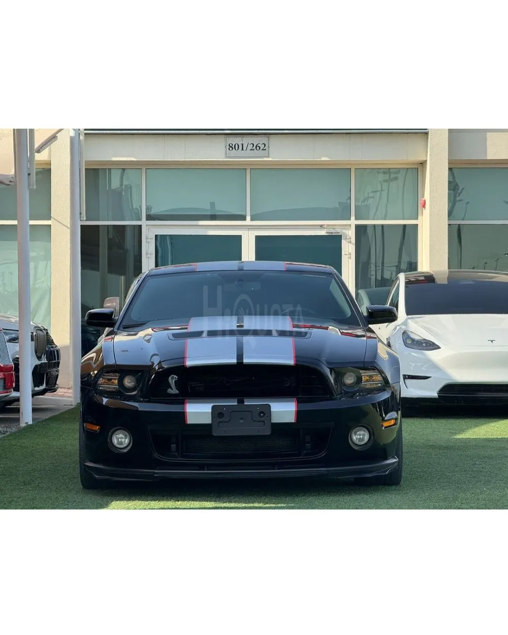 MUSTANG GT500 SHELBY GCC 2014