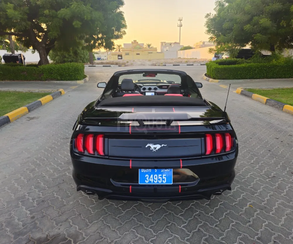 Mustang 2023 for sale on HiQuota