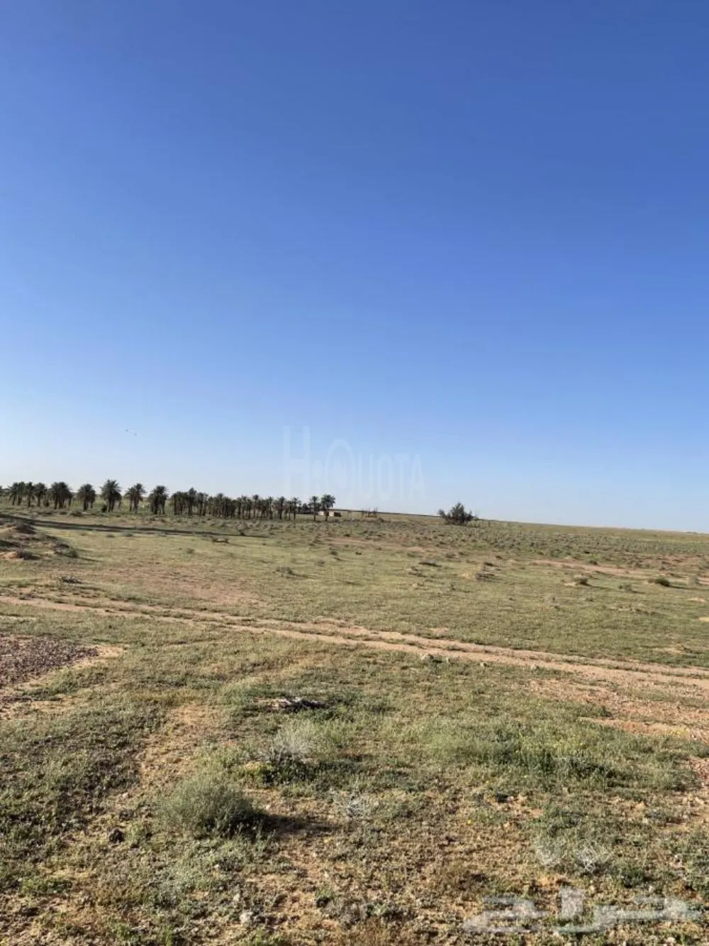 مزرعه للبيع منطقة الفلاح الشارقة