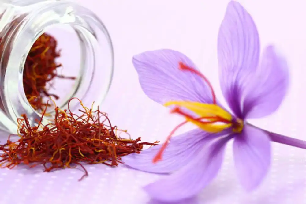 زَعْفَران