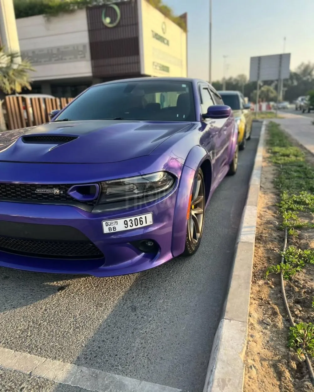 Dodge charger Daytona 2019 SRT full options