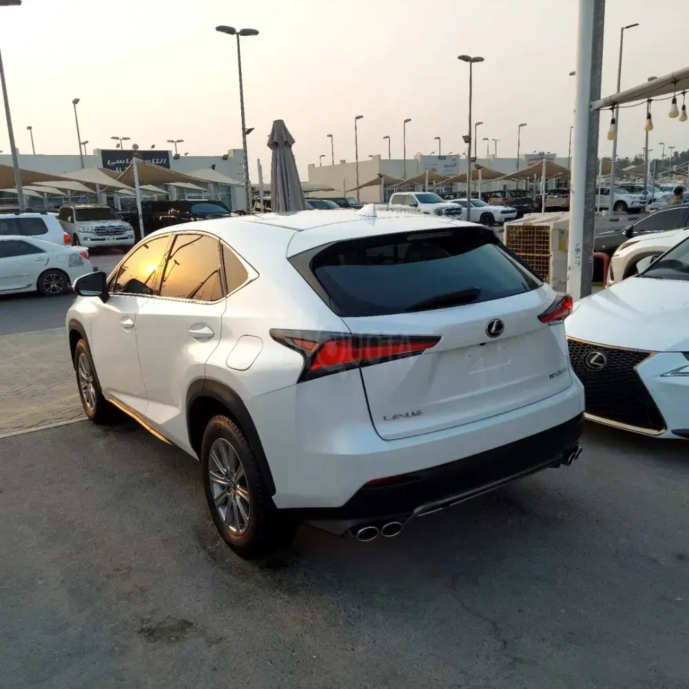 Lexus NX300 Japanese import  2021 model