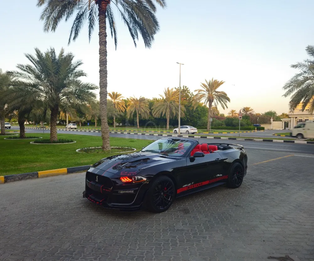 Mustang 2023 for sale on HiQuota